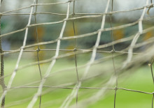 Tarczyński Copa Kabanos zachęca dzieci do ruchu i piłkarskiej zabawy. Trwają zapisy