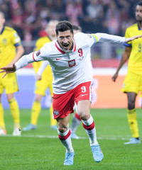 Poland beat Sweden and booked a place at the World Cup!
